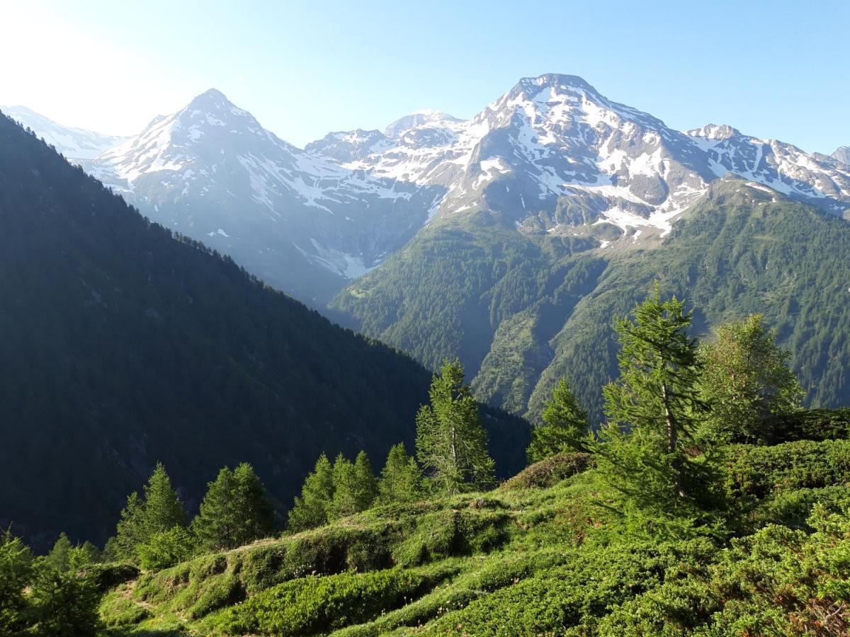 Chalet Bietschhorn Rosswald Termen Экстерьер фото